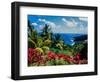 Elevated view of trees and plants on the East Coast, Dominica-null-Framed Photographic Print