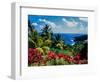 Elevated view of trees and plants on the East Coast, Dominica-null-Framed Photographic Print