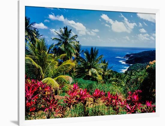 Elevated view of trees and plants on the East Coast, Dominica-null-Framed Photographic Print