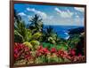 Elevated view of trees and plants on the East Coast, Dominica-null-Framed Photographic Print