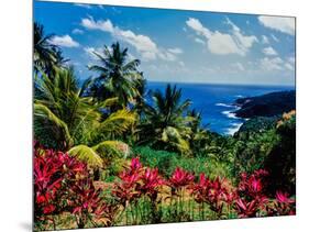 Elevated view of trees and plants on the East Coast, Dominica-null-Mounted Photographic Print