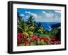 Elevated view of trees and plants on the East Coast, Dominica-null-Framed Premium Photographic Print