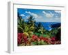 Elevated view of trees and plants on the East Coast, Dominica-null-Framed Premium Photographic Print