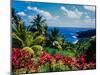 Elevated view of trees and plants on the East Coast, Dominica-null-Mounted Premium Photographic Print