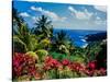 Elevated view of trees and plants on the East Coast, Dominica-null-Stretched Canvas