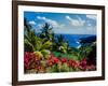 Elevated view of trees and plants on the East Coast, Dominica-null-Framed Photographic Print