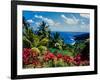 Elevated view of trees and plants on the East Coast, Dominica-null-Framed Photographic Print