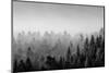 Elevated view of trees, Baden-Wurttemberg, Germany-Panoramic Images-Mounted Photographic Print