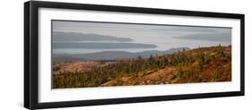 Elevated view of trees, Mount Desert Island, Acadia National Park, Hancock County, Maine, USA-null-Framed Photographic Print