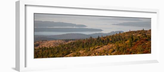 Elevated view of trees, Mount Desert Island, Acadia National Park, Hancock County, Maine, USA-null-Framed Photographic Print