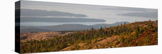 Elevated view of trees, Mount Desert Island, Acadia National Park, Hancock County, Maine, USA-null-Stretched Canvas