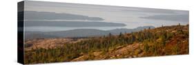 Elevated view of trees, Mount Desert Island, Acadia National Park, Hancock County, Maine, USA-null-Stretched Canvas