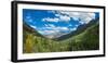 Elevated view of trees on landscape along Country Road 361, Camp Bird Road, San Juan Mountains,...-null-Framed Photographic Print