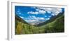 Elevated view of trees on landscape along Country Road 361, Camp Bird Road, San Juan Mountains,...-null-Framed Photographic Print