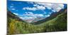 Elevated view of trees on landscape along Country Road 361, Camp Bird Road, San Juan Mountains,...-null-Mounted Photographic Print