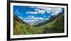 Elevated view of trees on landscape along Country Road 361, Camp Bird Road, San Juan Mountains,...-null-Framed Photographic Print