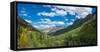 Elevated view of trees on landscape along Country Road 361, Camp Bird Road, San Juan Mountains,...-null-Framed Stretched Canvas