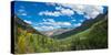 Elevated view of trees on landscape along Country Road 361, Camp Bird Road, San Juan Mountains,...-null-Stretched Canvas