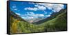 Elevated view of trees on landscape along Country Road 361, Camp Bird Road, San Juan Mountains,...-null-Framed Stretched Canvas