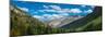 Elevated view of trees on landscape along Country Road 361, Camp Bird Road, San Juan Mountains,...-null-Mounted Photographic Print