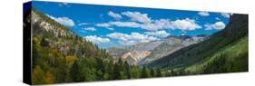 Elevated view of trees on landscape along Country Road 361, Camp Bird Road, San Juan Mountains,...-null-Stretched Canvas