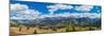 Elevated view of trees on landscape from Molas Pass on U.S. Route 550, Silverton, San Juan Mount...-null-Mounted Photographic Print