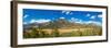 Elevated view of trees on landscape, West Horseshoe Park, Rocky Mountain National Park, Colorado...-null-Framed Photographic Print