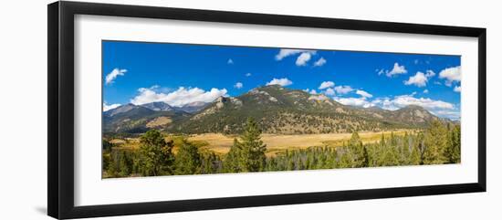 Elevated view of trees on landscape, West Horseshoe Park, Rocky Mountain National Park, Colorado...-null-Framed Photographic Print