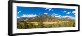 Elevated view of trees on landscape, West Horseshoe Park, Rocky Mountain National Park, Colorado...-null-Framed Photographic Print