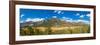 Elevated view of trees on landscape, West Horseshoe Park, Rocky Mountain National Park, Colorado...-null-Framed Photographic Print