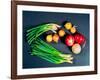 Elevated view of various types of onions-null-Framed Photographic Print