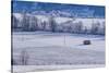 Elevated view of winter landscape, Oblarn, Styria, Austria-Panoramic Images-Stretched Canvas