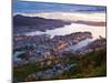 Elevated View over Central Bergen Illuminated at Sunset, Bergen, Hordaland, Norway-Doug Pearson-Mounted Premium Photographic Print