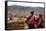 Elevated View over Cuzco and Plaza De Armas, Cuzco, Peru, South America-Yadid Levy-Framed Stretched Canvas