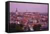 Elevated View over Old Town at Dawn, Tallinn, Estonia, Europe-Doug Pearson-Framed Stretched Canvas