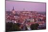 Elevated View over Old Town at Dawn, Tallinn, Estonia, Europe-Doug Pearson-Mounted Photographic Print