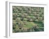 Elevated View Over Olive Trees in Olive Grove, Tuscany, Italy-Jean Brooks-Framed Photographic Print