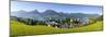 Elevated View over Parish Church and St. Wolfgang, Wolfgangsee Lake, Flachgau-Doug Pearson-Mounted Photographic Print