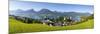 Elevated View over Parish Church and St. Wolfgang, Wolfgangsee Lake, Flachgau-Doug Pearson-Mounted Photographic Print