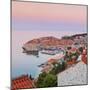 Elevated View over Stari Grad (Old Town) Illuminated at Sunrise, Dubrovnik, Dalmatia, Croatia-Doug Pearson-Mounted Photographic Print