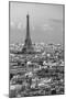 Elevated View over the City with the Eiffel Tower in the Distance, Paris, France, Europe-Gavin Hellier-Mounted Premium Photographic Print