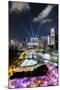 Elevated View over the Entertainment District of Clarke Quay-Gavin Hellier-Mounted Photographic Print