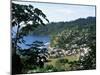 Elevated View Over the Fishing Village of Charlotteville, Tobago, West Indies, Caribbean-Yadid Levy-Mounted Premium Photographic Print