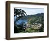 Elevated View Over the Fishing Village of Charlotteville, Tobago, West Indies, Caribbean-Yadid Levy-Framed Photographic Print