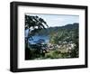 Elevated View Over the Fishing Village of Charlotteville, Tobago, West Indies, Caribbean-Yadid Levy-Framed Photographic Print