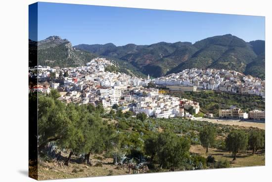 Elevated View over the Historic Hilltop Town of Moulay Idriss, Morocco, North Africa, Africa-Doug Pearson-Stretched Canvas