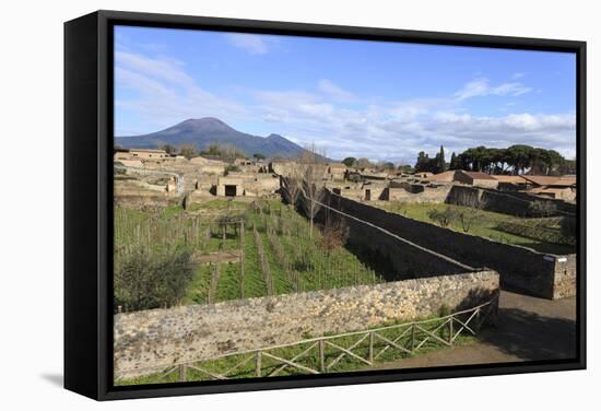 Elevated View to Mount Vesuvius-Eleanor Scriven-Framed Stretched Canvas