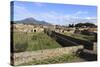 Elevated View to Mount Vesuvius-Eleanor Scriven-Stretched Canvas