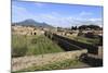 Elevated View to Mount Vesuvius-Eleanor Scriven-Mounted Photographic Print