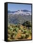 Elevated View Towards the Picture Perfect Hilltop Town of Olvera, Olvera, Cadiz Province, Andalusia-Doug Pearson-Framed Stretched Canvas